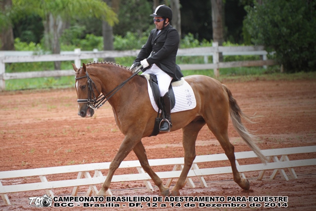 ALEX FABIANO DE OLIVEIRA - CAMPEÃO - CAMPEÃO GRAU 3