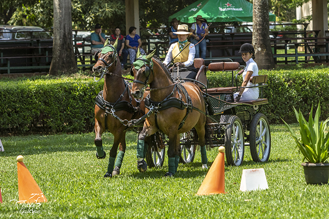 Angela Vulcao Sorro6