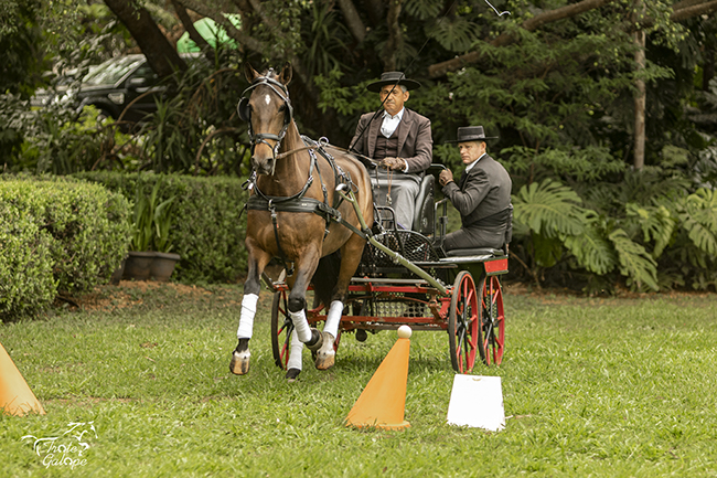 Antonio e IliriaInteragro