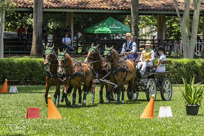 Eduard Andino Alambique Vulcao Sorro