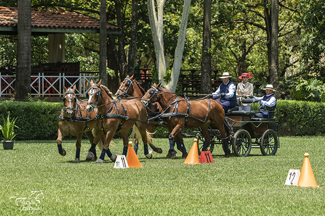 Joelson Belle Fanny Fofao Sinatra6