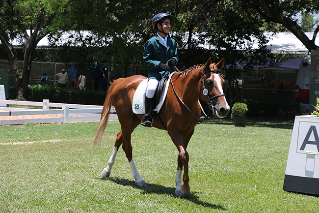 Luiz Otavio minimirim2911