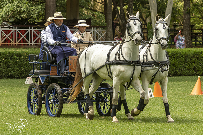 Marcelo Diamante Loulou6