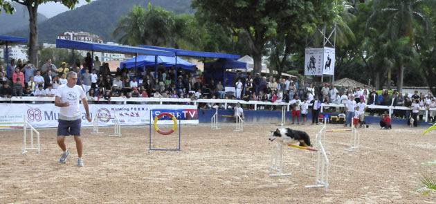agility