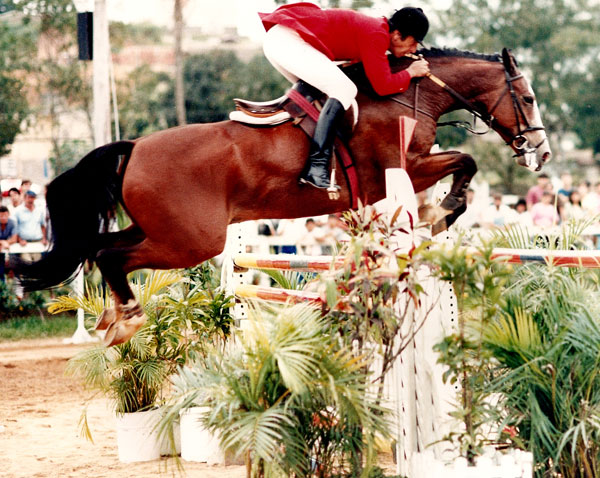 alfinete empedrado600