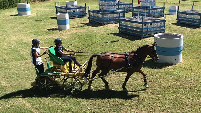 angelaschonburg chile650