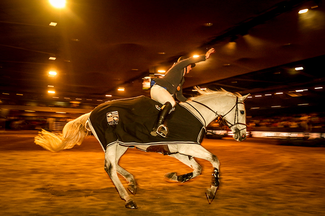 artemus cassillero indoorshp650