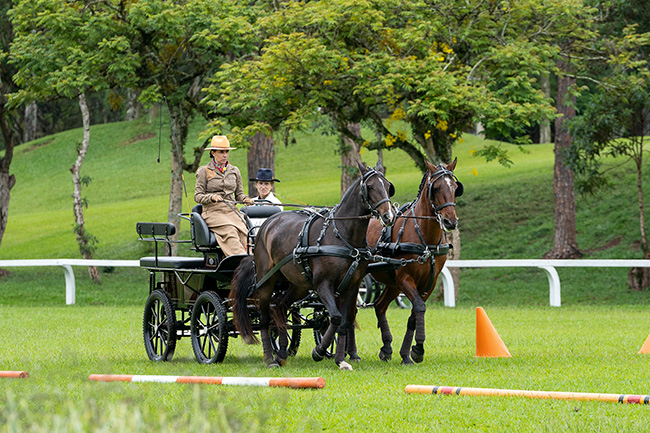 atrelagem parelha ccsp 21