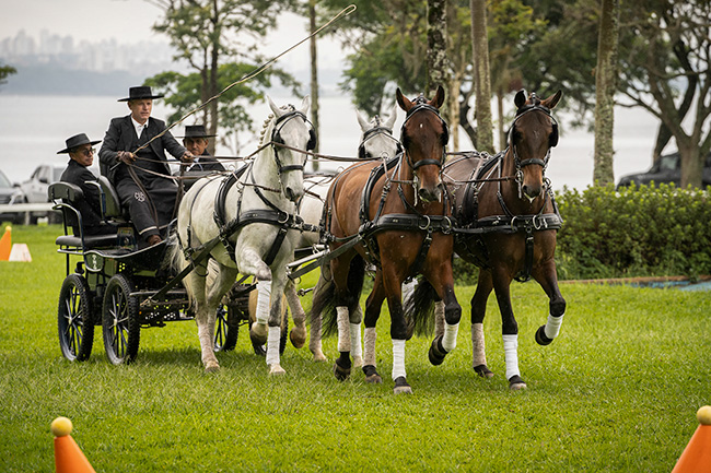 atrelagem quadra interagro ccsp21