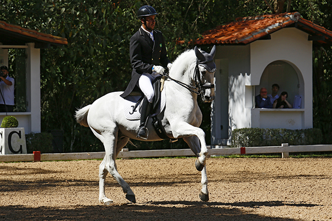 Frederico Gladiador1808