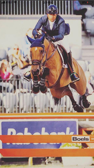 chiquinho collin2911 550