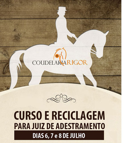 curso500