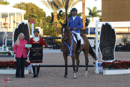 doda wef2014