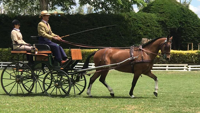 eduardschonburg chile650