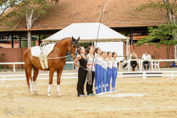 equipe e01 600