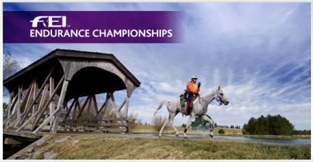 fei endurance