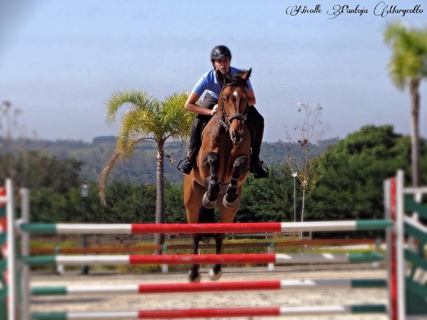 fernandopenteado