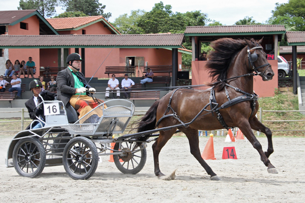 01Rodolpho