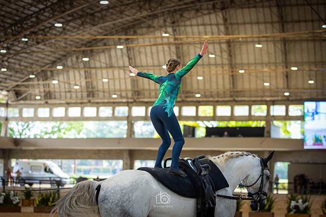 ANNE SCHWERDTLEarq1805