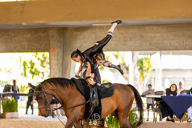 JULIA MOLAN E LUIZA ZANIN1805