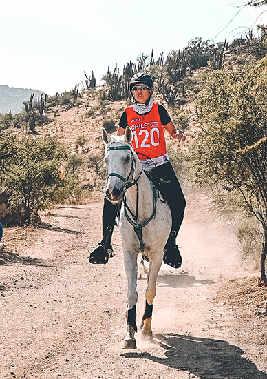 ana maciel 2411 site