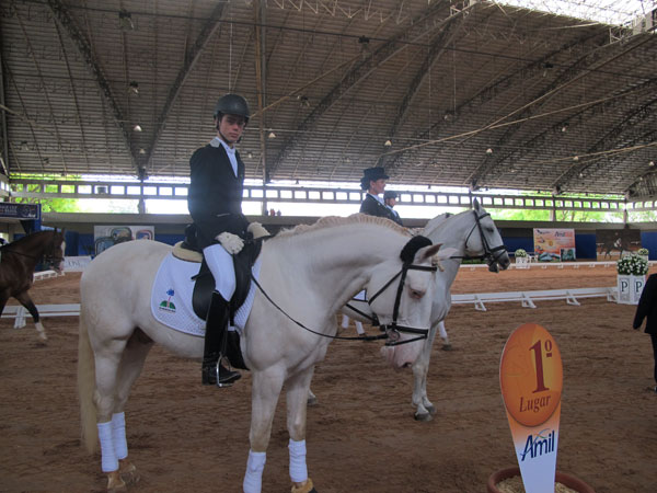 antonio6001