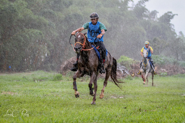 chuva650