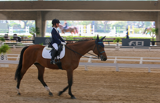 donatella appel0709