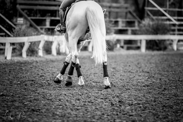 flexionamento