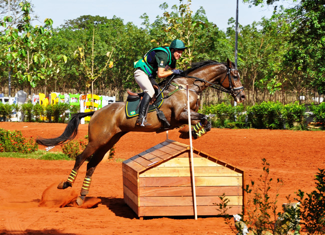 henrique650