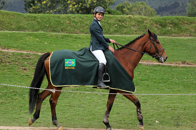 henrique capa650
