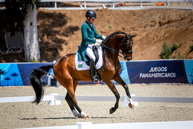 joao feelgood2510