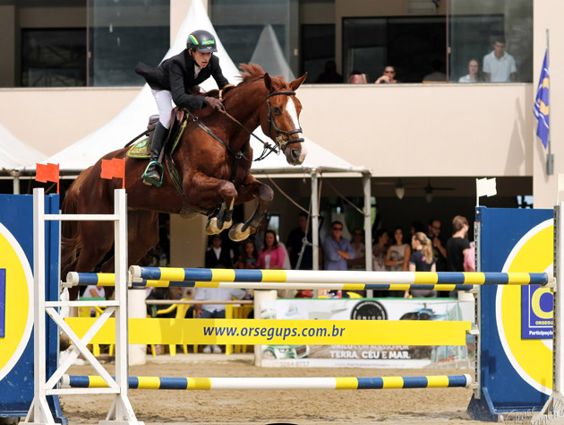 marcelo gozzi gracie630
