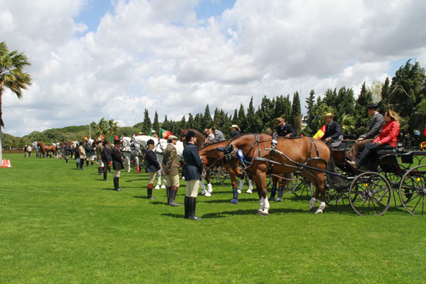 partida600