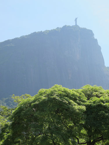 rio500