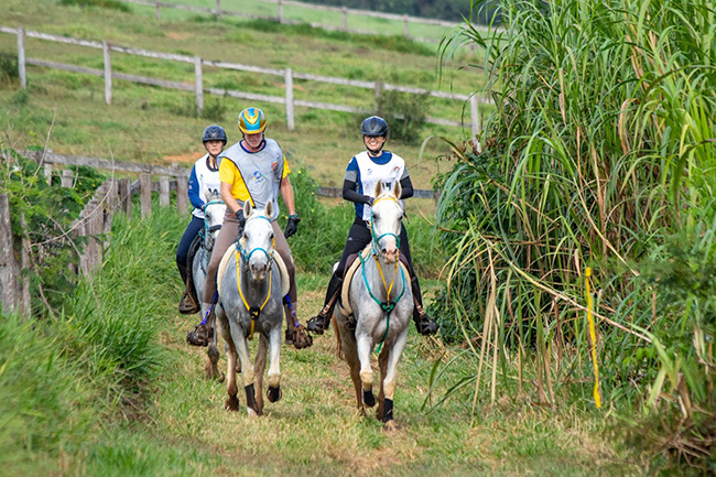 trilha endurance22 6 1