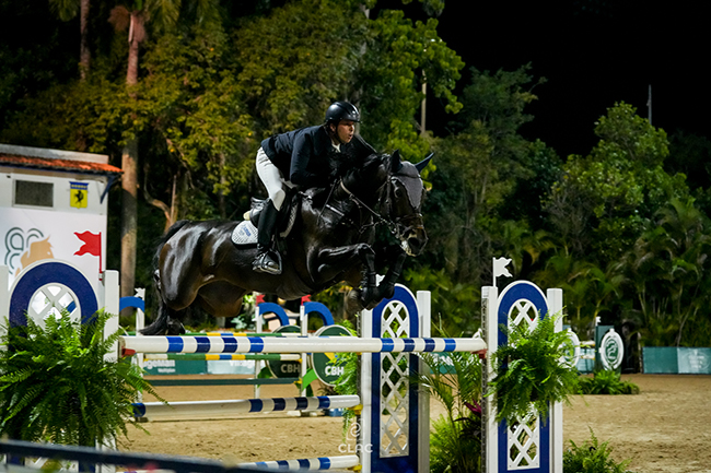 zeluiz2006