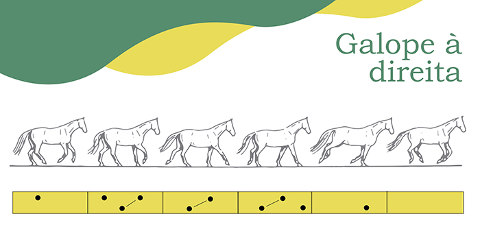 galope direita700