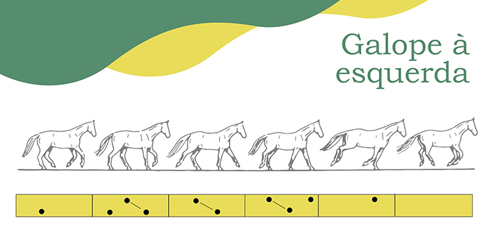 galope esquerda700