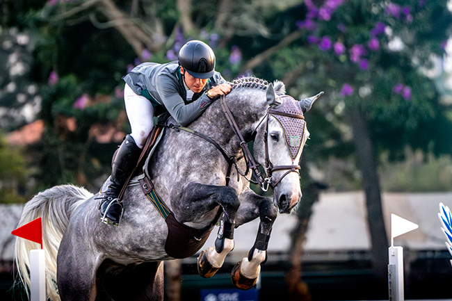 gui salto2 650 0806