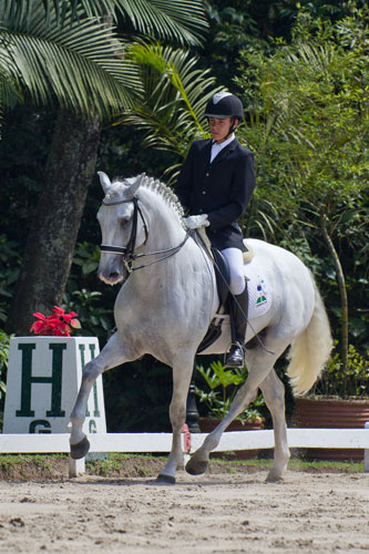 joao500