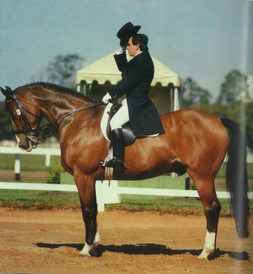jorge550 02