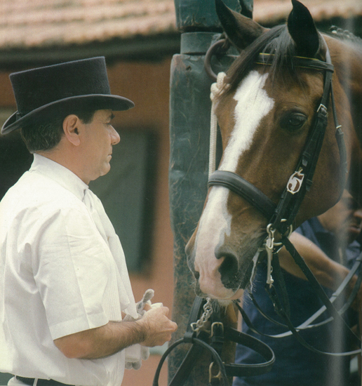 jorge550 06