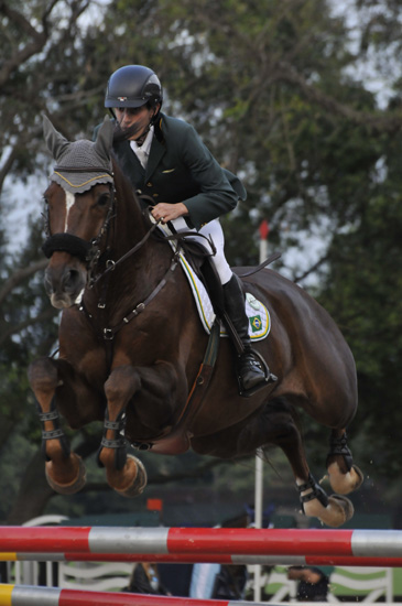 marcelogozzi550