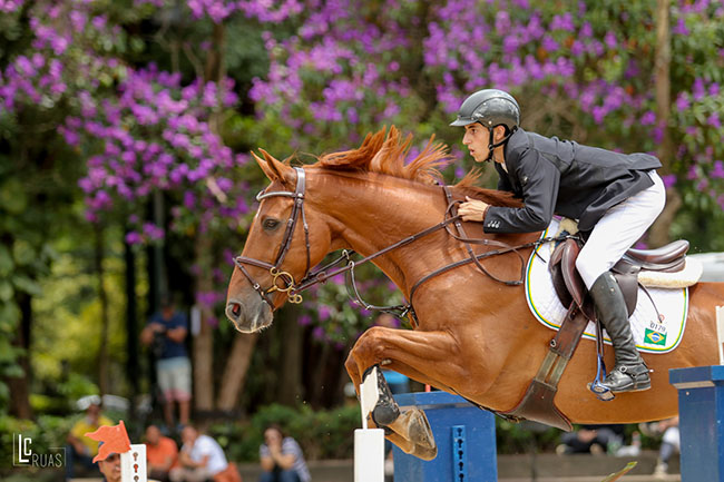 marcelogozzi650