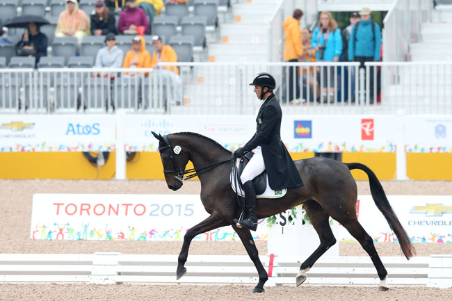 marcio2 sergioDutti COB