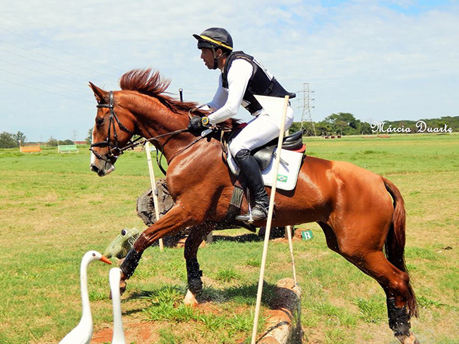 marcio jorge650
