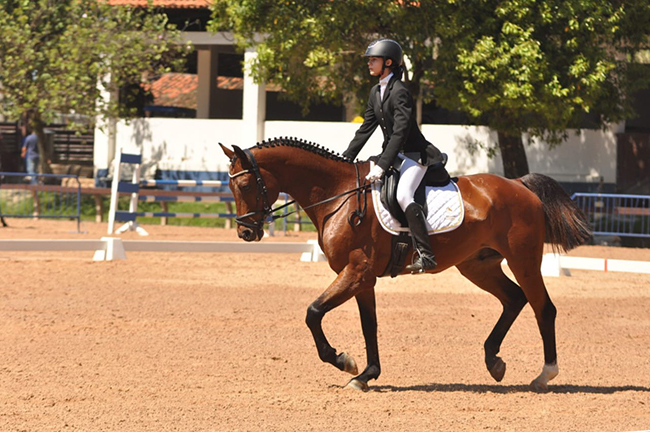 marianamagalhaes arq0611