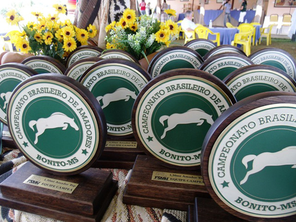 medalhas600