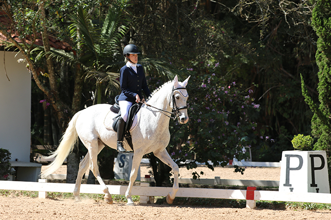 mel violao1808